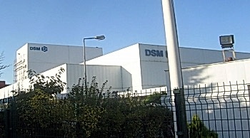 DSM